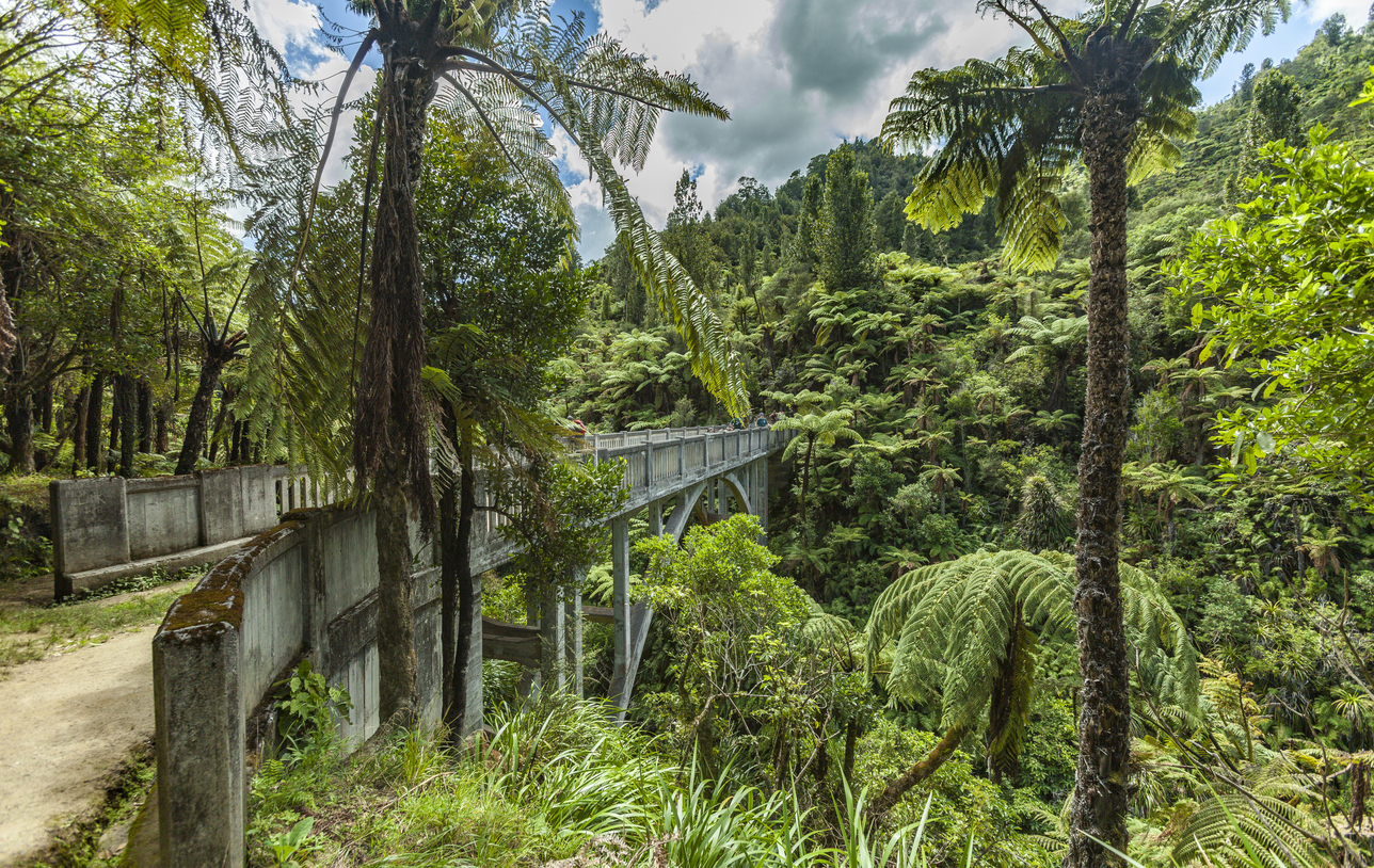 Underrated Kiwi tourist spots to visit this summer